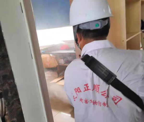 預防消毒服務(wù)
