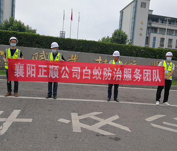 白蟻防治服務(wù)